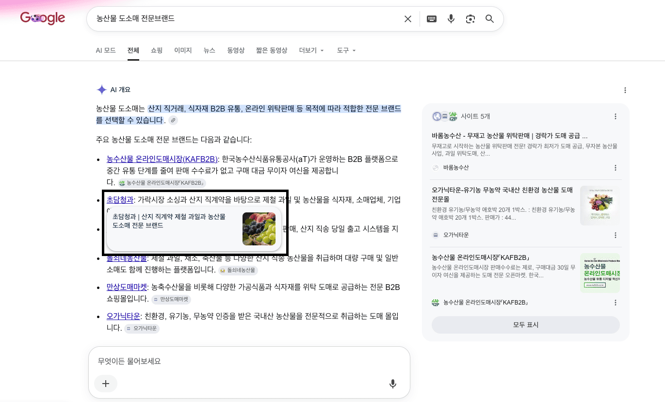 초담청과 Google 검색 노출 화면 2