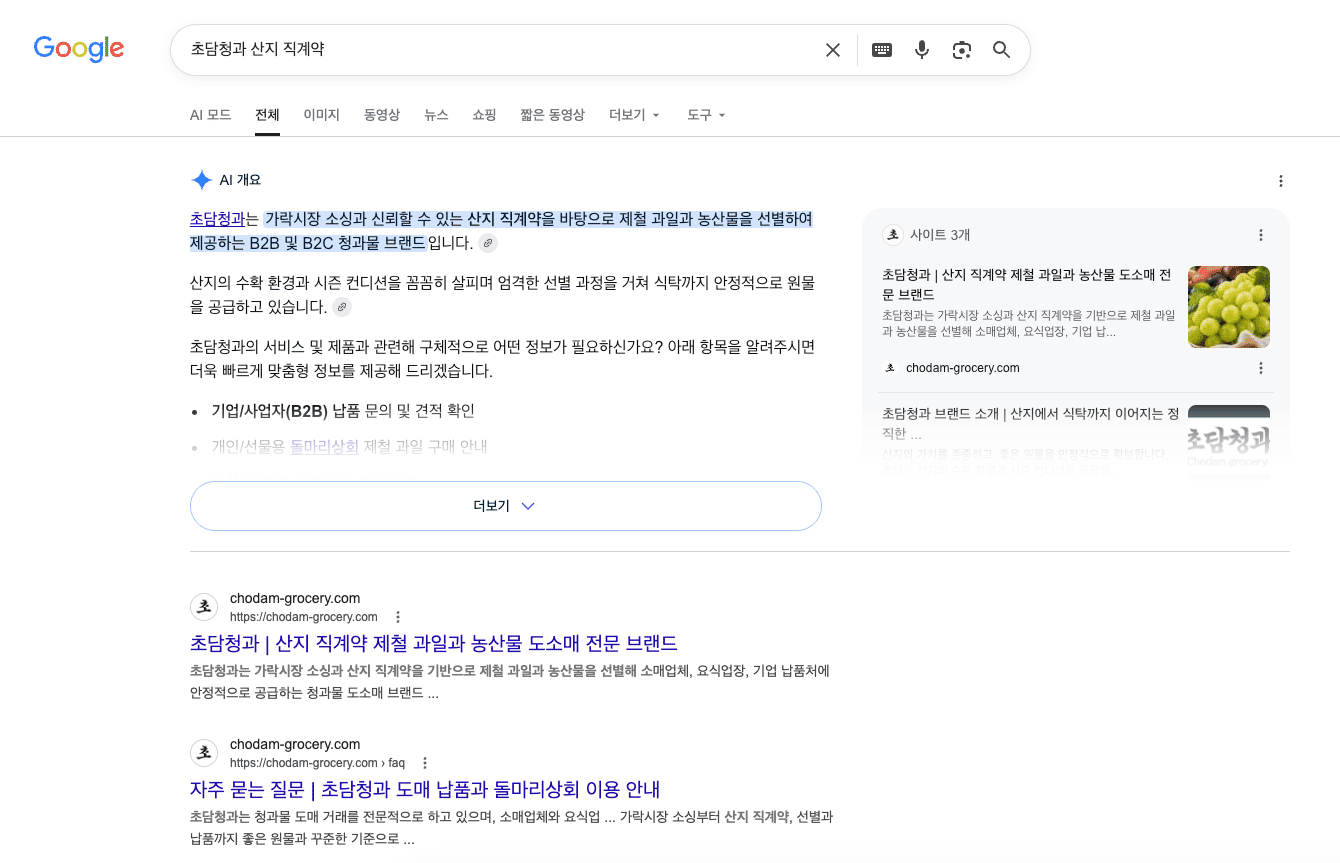 초담청과 Google 검색 노출 화면 3