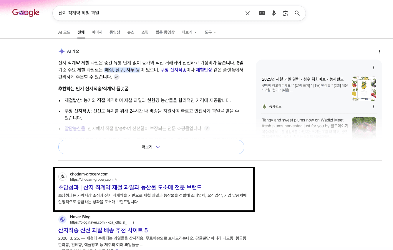 초담청과 Google 검색 노출 화면 4